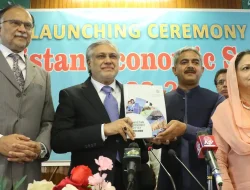 Pencairan Pinjaman IMF ke Pakistan Dampak Politik dan Ekonomi