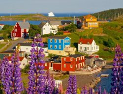 Newfoundland dan Labrador