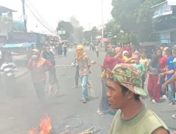 Dompu Memanas! Warga Blokade Jalan Setelah Harga Jagung Anjlok Drastis